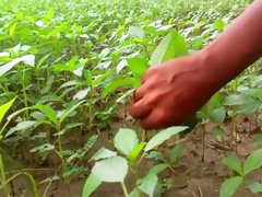 Open Public Place Noon Time Doing Masturbation With Jute Leaf Juice